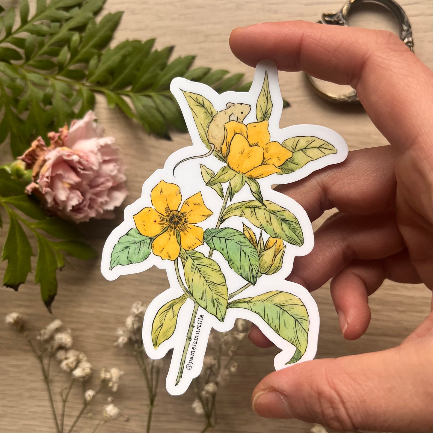 Sticker Waterproof Dilenne